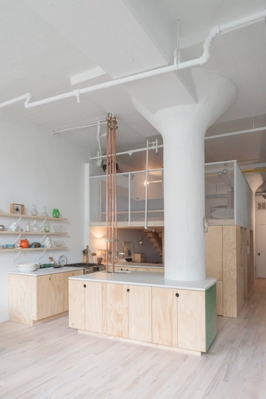 Bed-Stuy Loft / New Affiliates - Apartamentos
