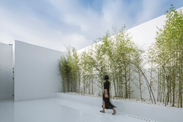 Bosque de Bambú en el Techo / V STUDIO - Hotelería Y Entretenimiento