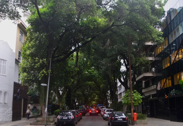 A arborização do bairro de Ipanema e a criação de identidades paisagísticas - Imagem de Destaque