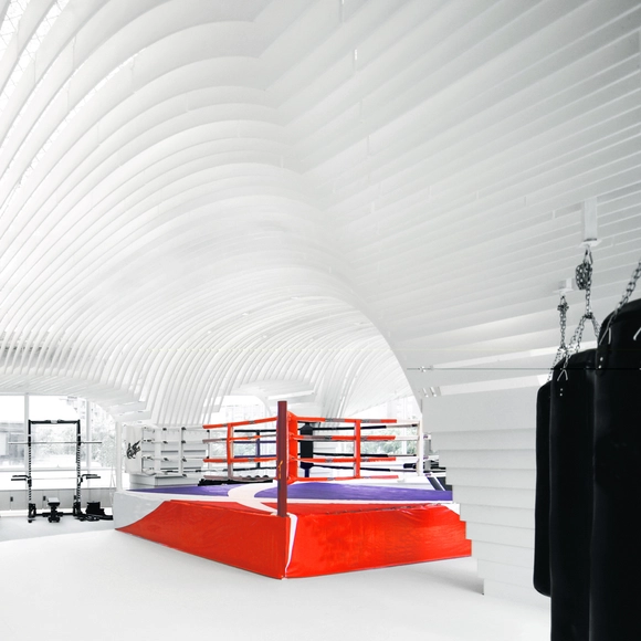 望京SOHO泰拳馆 / BWAO 鲍威建筑工作室 - 体育建筑室内
