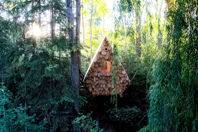 Birdhut / Studio North - Obras De Pequeña Escala