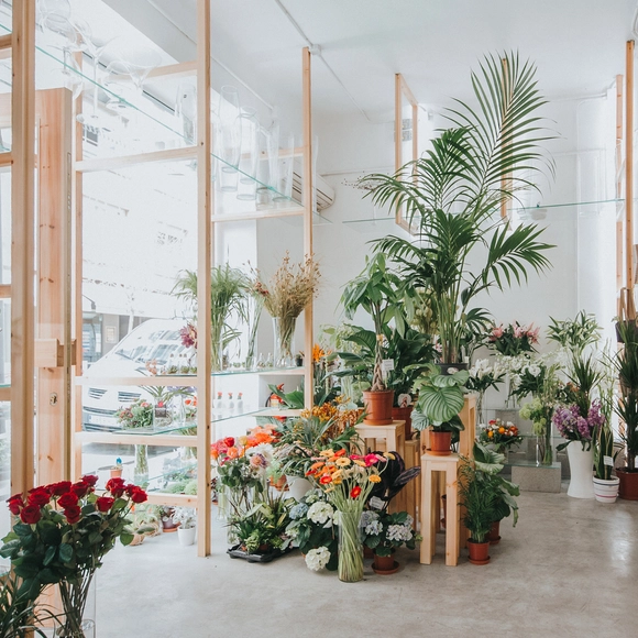 兰花&木梯，空间是鲜花的另一片‘绿叶’ Orchids and Ladders / SERRANO+BAQUERO Arquitectos - 商店
