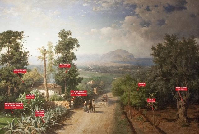 Curadores divulgam tema do Manifesta 12 Palermo: O Jardim Planetário. Cultivando Coexistência - Imagem de Destaque