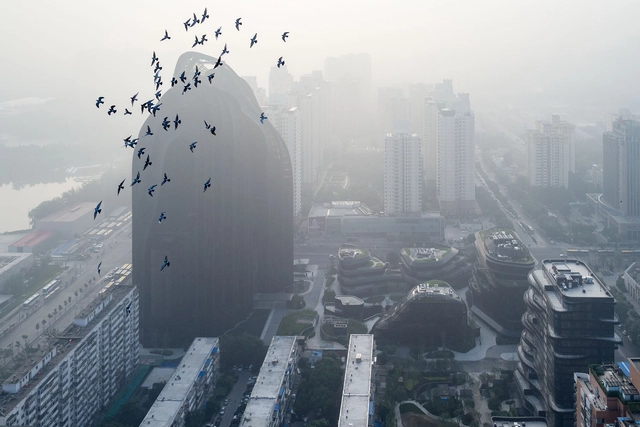 MAD‘朝阳公园广场’，与八月的北京，刚刚好 - 主图