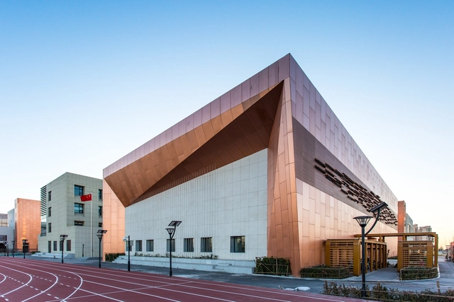 天津高新区第一学校 / 天津市天友建筑设计任军工作室 - 小学及初中, 表皮