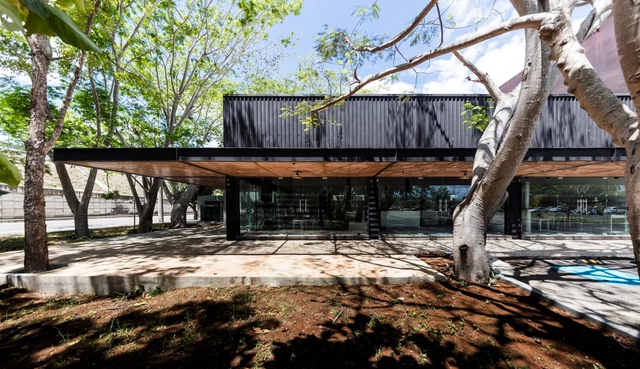 Plaza TERRANORTE / Boyancé Arquitectura + Edificación - Mercado, Fachada, Bosque