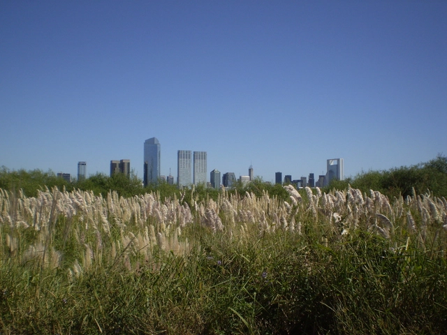 Transformaciones territoriales: superposición de estrategias, el caso de la costanera sur de Buenos Aires - Imagen Principal