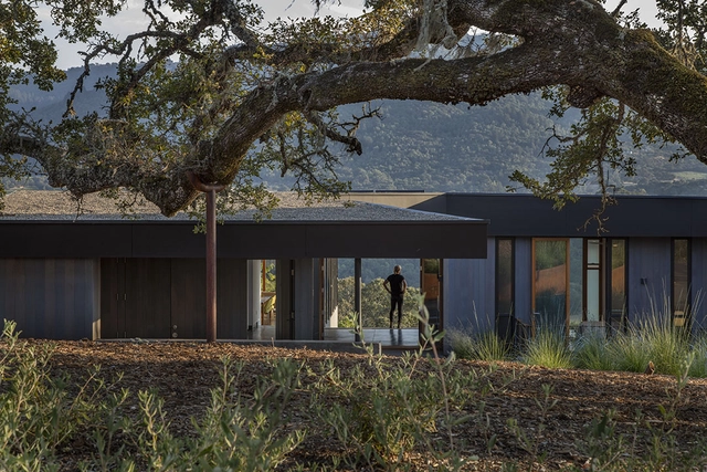 Casa Lichen  / Schwartz and Architecture - Casas