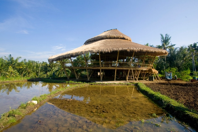 Aldo's Kitchen / IBUKU - Garden