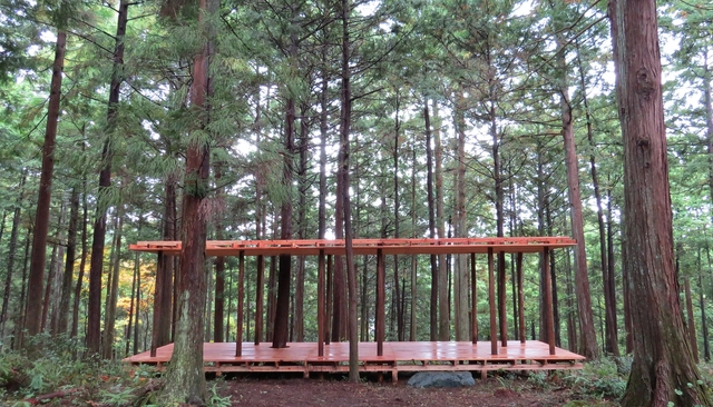In-between, hinoki + sugi pabellón / x-studio - Obras De Pequeña Escala, Bosque