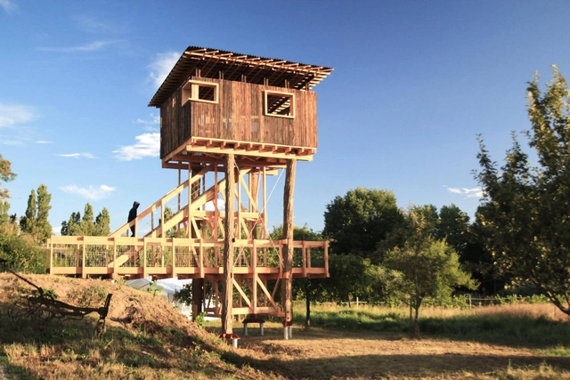 Obervedere / Collectif Etc - Small Scale, Forest