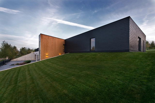 Black House in Vilnius / Laurynas Žakevičius architects - Houses, Garden, Facade