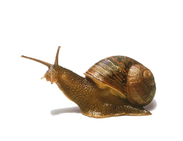 Chama para 5 Edição "ARQUITETURA (É) ÉTICA?" da PIXO - revista de arquitetura, cidade e contemporaneidade - Imagem de Destaque