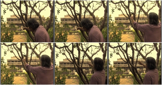 Descubre la filosofía de B.V. Doshi en este documental de 8 capítulos - Imagen Principal