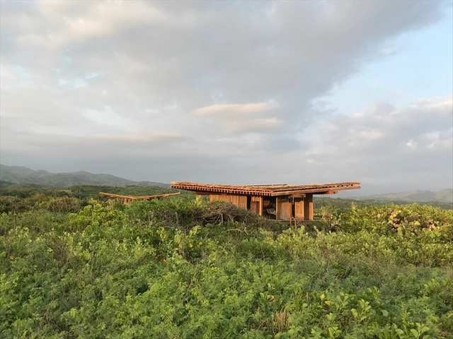 Escondido / Taller de Arquitectura X / Alberto Kalach - Cabañas & Lodges, Bosque