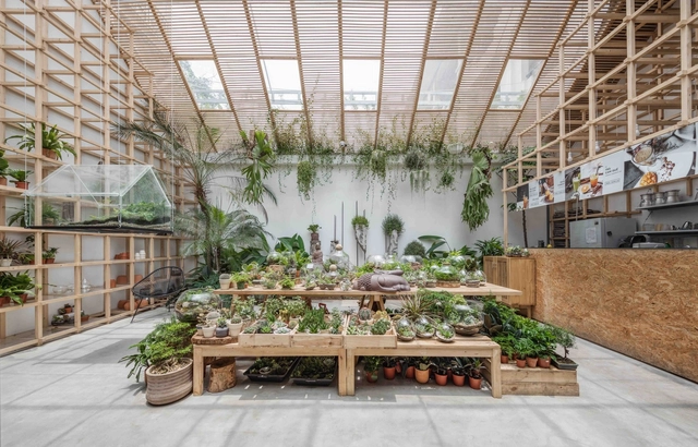 Tropical Forest / Tayone Design Studio - Cafeterias