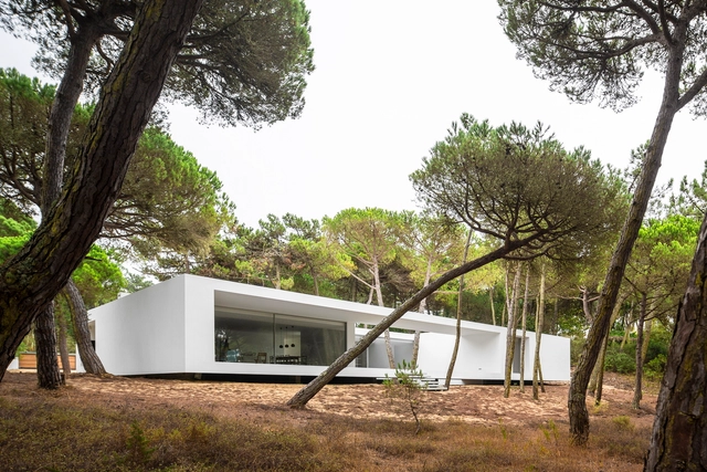 Residence in Colares / Frederico Valsassina Arquitectos - Houses