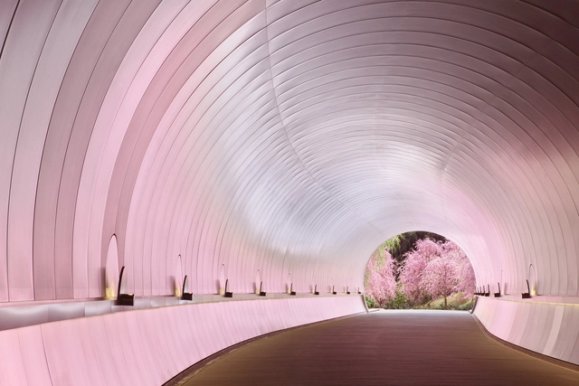 11 Obras asiáticas en época de floración - Imagen Principal