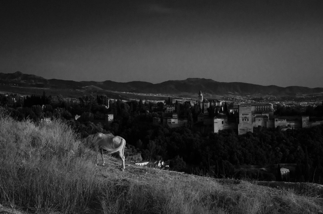 El futuro de la arquitectura española pasa por Granada - Imagen Principal