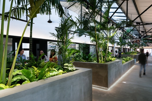 Estación Jungla / G8A Architecture & Urban Planning - Renovación