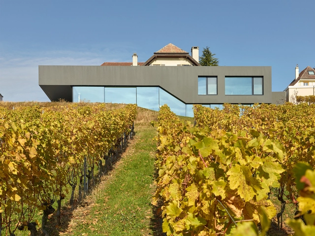 Muller Villa / Andrea Pelati Architecte - Houses, Facade