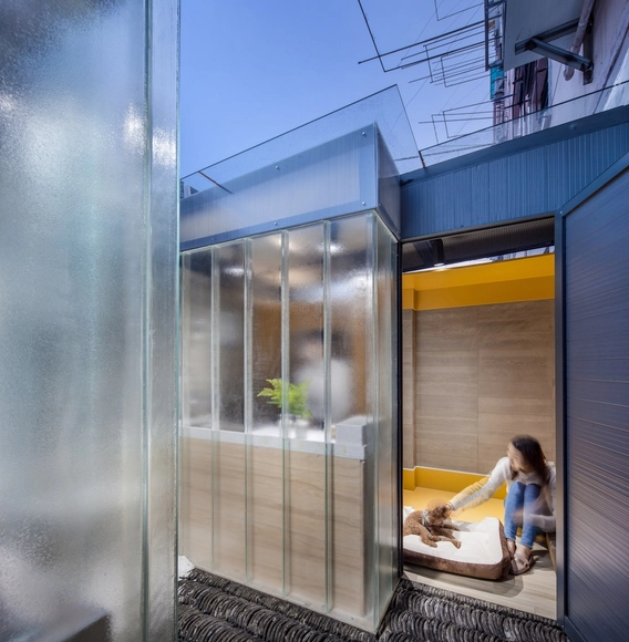 Home of Pets / HDD - Houses Interiors, Facade, Door, Chair