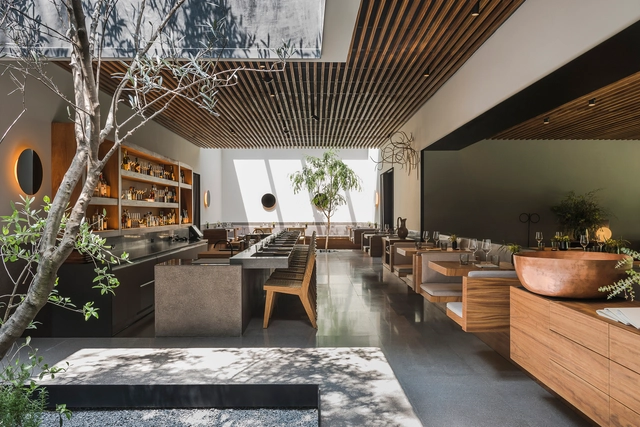 Pujol / JSa - Restaurant, Patio, Fachada, Mesas, Sillas