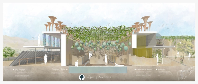 Ruin Experience: un diálogo entre arquitectura y naturaleza a través de los sentidos - Imagen Principal