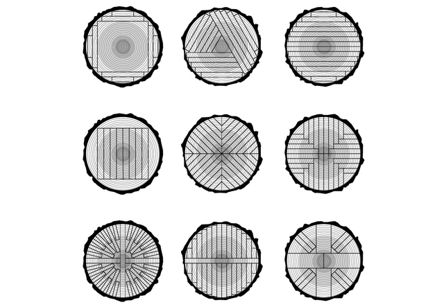 How Tree Trunks Are Cut to Produce Wood With Different Appearances and Uses - Sustainability