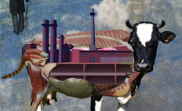 El collage como metodología para la identificación de valores patrimoniales frente a las transformaciones urbanas - Imagen Principal