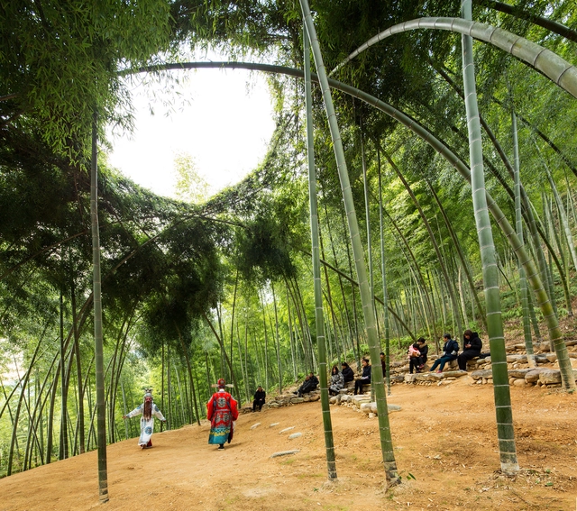 Bamboo Theatre / DnA - Theaters & Performance , Garden, Arch, Forest
