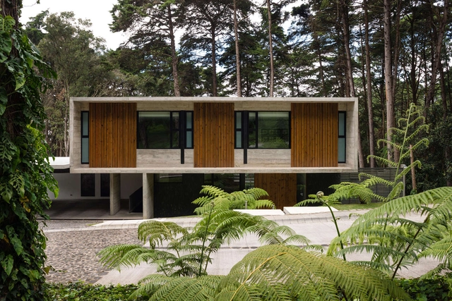 LP1 House / Paz Arquitectura - Houses Interiors