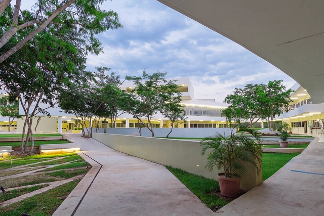 尤卡坦自治大学教育学院 / Departamento de Proyectos de la Facultad de Arquitectura - 大学
