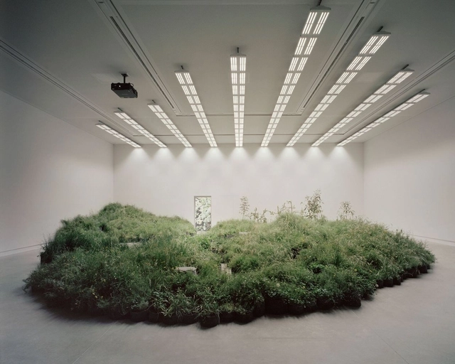 Repair: Australian Pavilion at the Venice Biennale 2018 - Featured Image