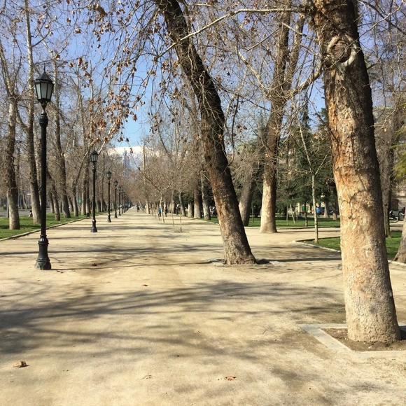 ¿Por qué es importante el Parque Forestal de Santiago de Chile? - Imagen Principal