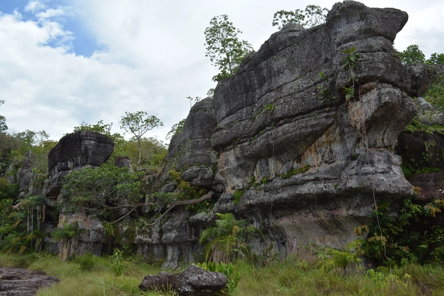 El parque colombiano Serranía de Chiribiquete, nuevo Patrimonio de la Humanidad   - Imagen Principal