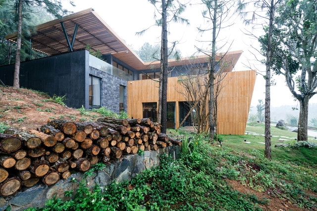 Teak House / Pham Thanh Huy - Houses, Forest