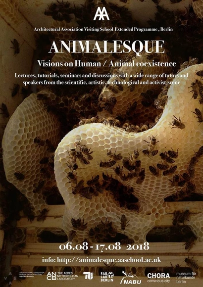 Animalesque Berlin AA Visiting School - Featured Image