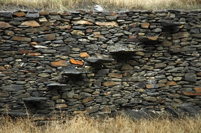 La arquitectura de la memoria: donde habita el pensamiento - Imagen Principal