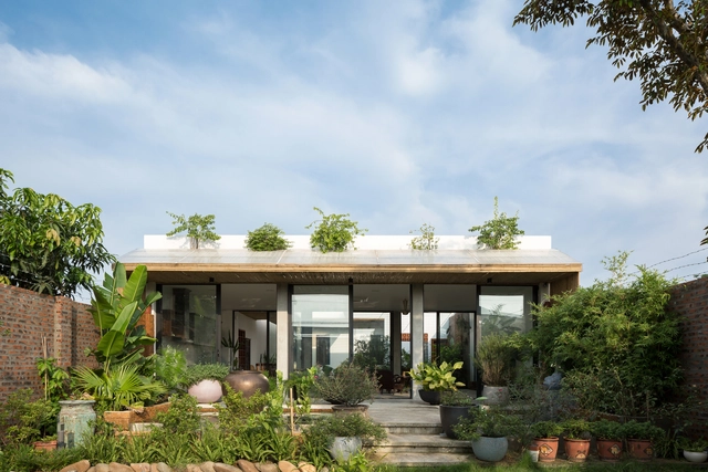 Casa Dế / 365 Design - Casas