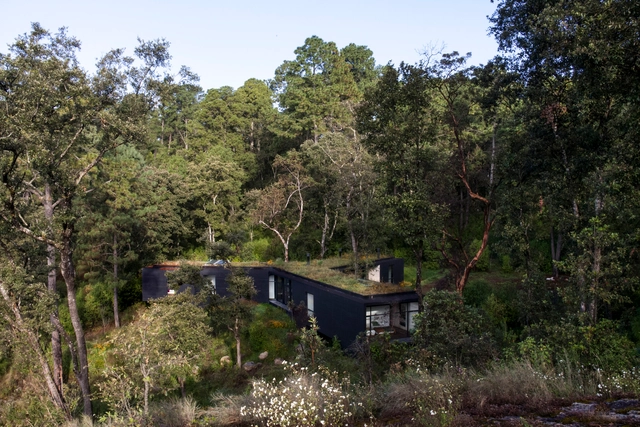 Casa de la Roca / Cadaval & Solà-Morales - Casas, Bosque