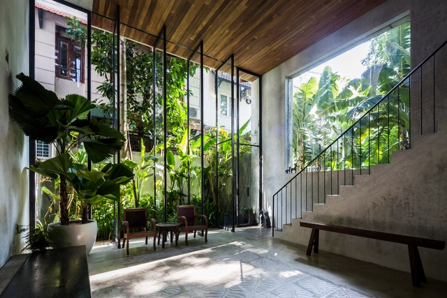 Las 13 mejores plantas para tu apartamento y sus cuidados - Imagen Principal