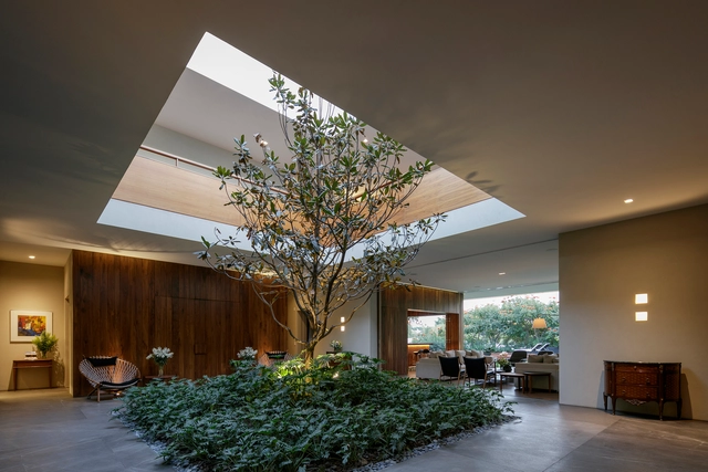 Casa LJ30 / CDM Casas de México + Javier Dueñas - Interiores De Casas