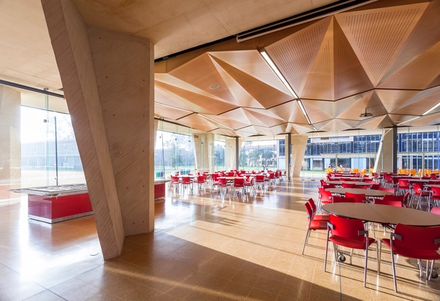 Auditeria / taller de arquitectura de bogotá - Ampliación, Pilares, Fijación Vigas, Mesas, Sillas
