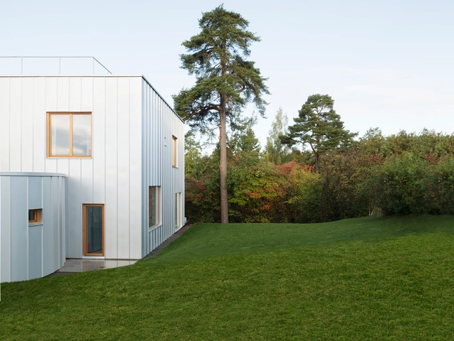 Casa Galeria / Elding Oscarson - Casas