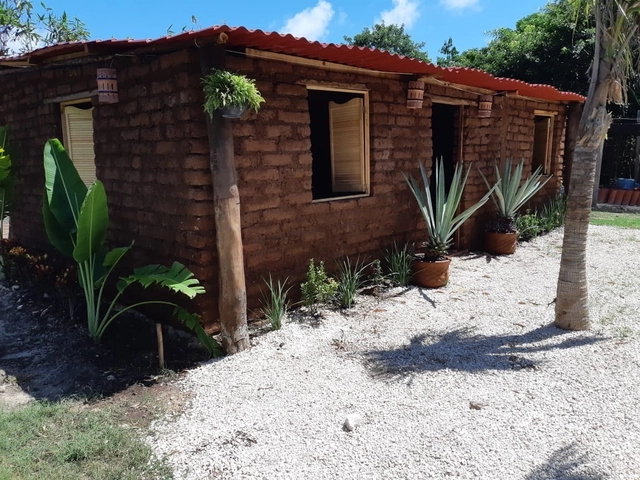 Diseñan casa a base de sargazo con 50% menos recursos del costo total de una casa de interés social - Imagen Principal