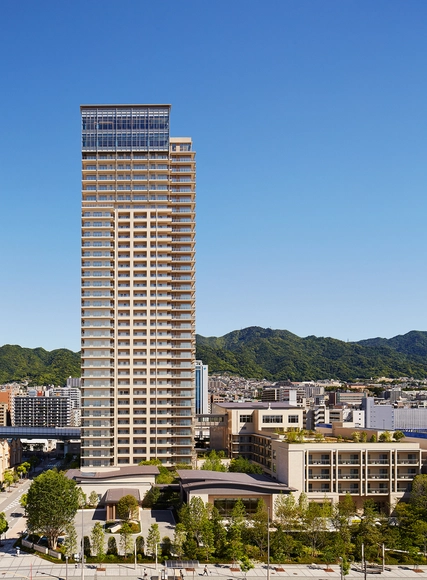 日光城神户大楼 / Richard Beard Architects - 建筑