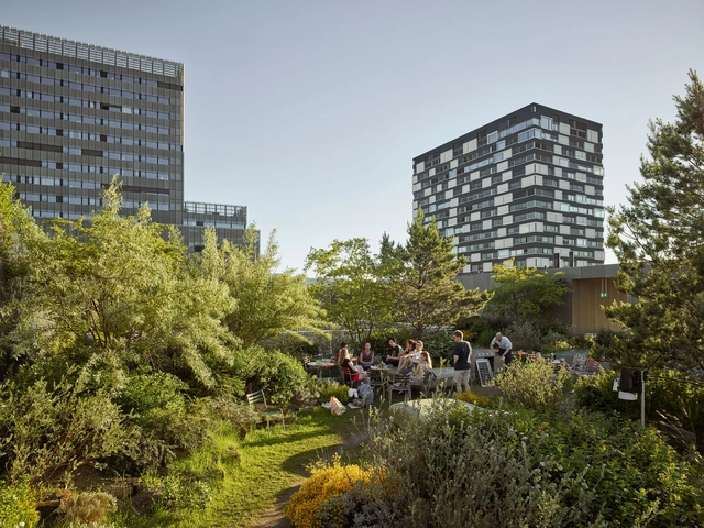 Jardín en el techo de Toni Areal  / Studio Vulkan Landscape Architecture - Paisaje Y Arquitectura