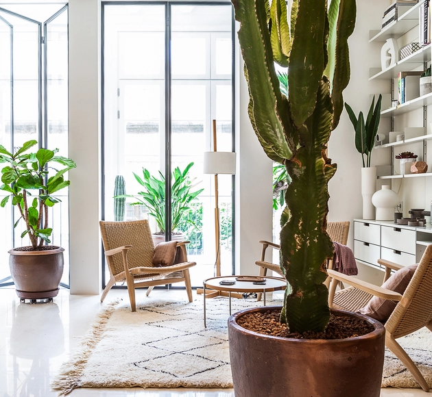 Apartamento en Calle Argentona / YLAB Arquitectos - Apartamentos, Sillas
