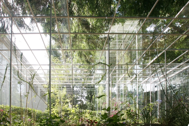 Junya Ishigami: "La arquitectura proveniente de la imaginación de alguien no es suficiente" - Arch Daily Interviews